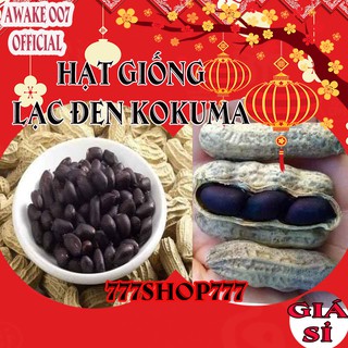 Hạt giống lạc đen kokuma - Đậu phộng đen