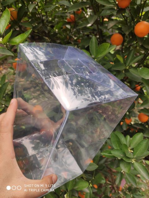 COMBO 10 Hộp nhựa PET đựng bupbe Doll  KT 12x14x23 (cm) | BigBuy360 - bigbuy360.vn