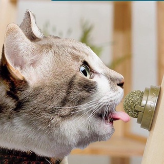 Viên Cỏ Bạc Hà Catnip Dán Tường