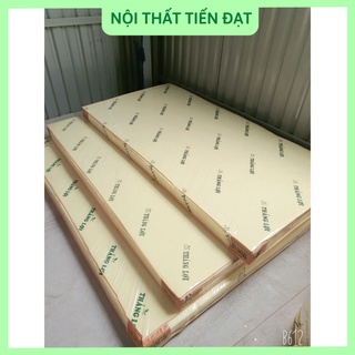 Nệm cao su non cao cấp Thắng Lợi dày 10 phân giá xưởng