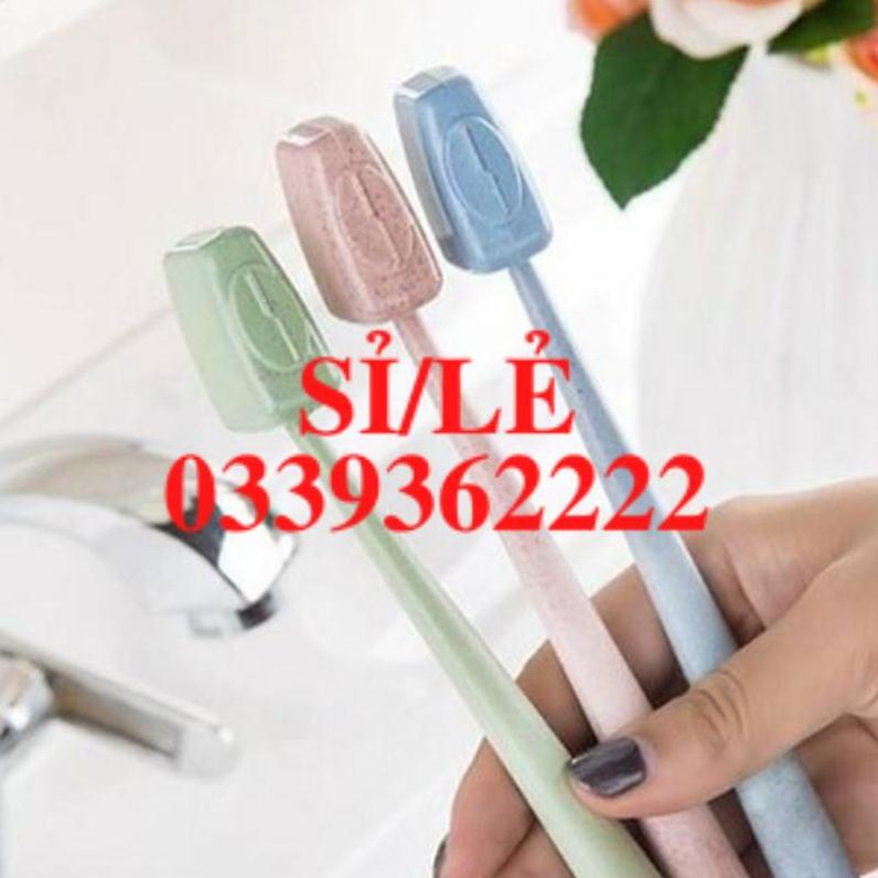 Set 4 Nắp Đậy Bàn Chải Đánh Răng Chống Vi Khuẩn