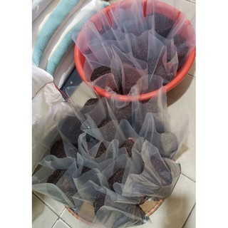 combo 5kg gạo lứt tím