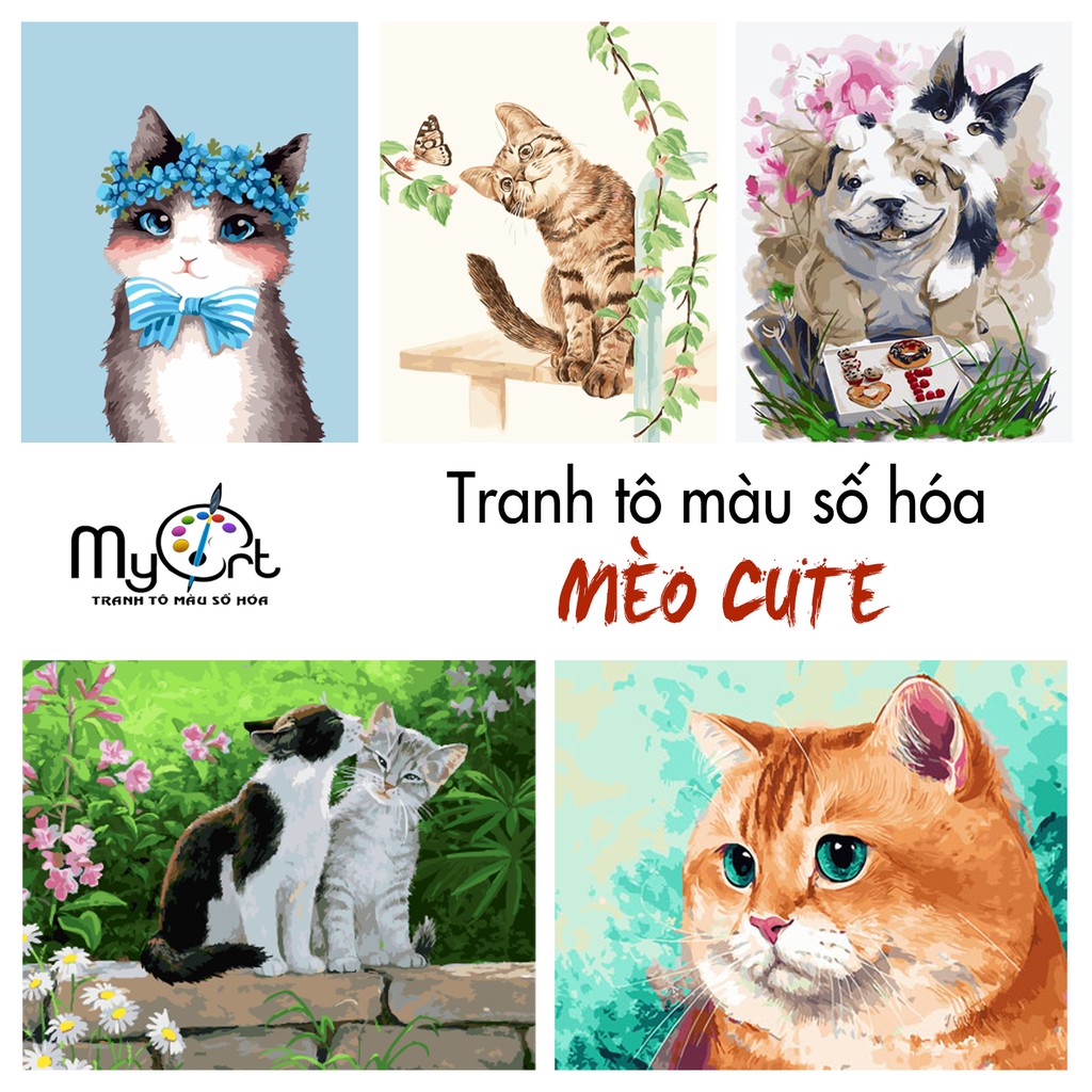 Tranh tô màu theo số sơn dầu số hóa Myart - Tổng hợp tranh tự tô về Mèo cute dễ thương