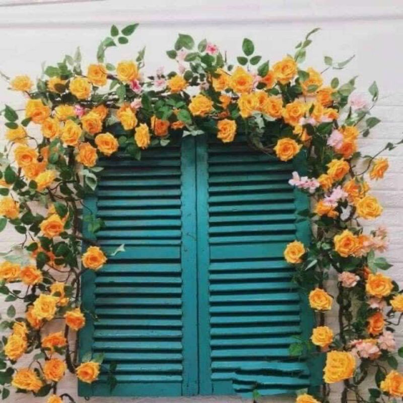 Hoa Giả Treo tường Dây Hồng Leo giả dài 1,7m dây hồng cổ với bông hồng xoăn trang trí decor