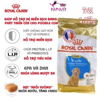 THỨC ĂN ROYAL CANIN JUNIOR DÀNH CHO POODLE GÓI 1,5KG