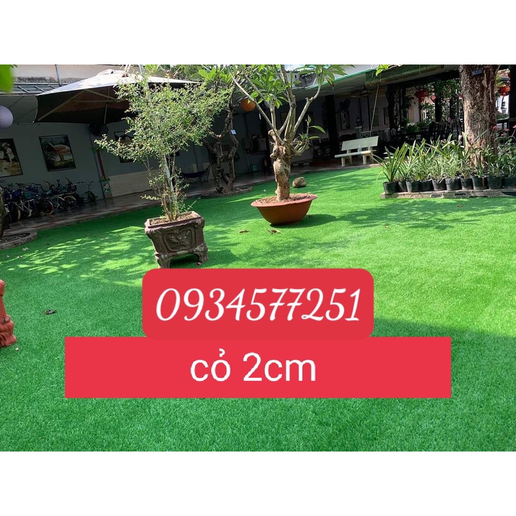 Thảm Cỏ Nhân Tạo Ngọn Cỏ Cao 2cm loại Đẹp Giá Tốt