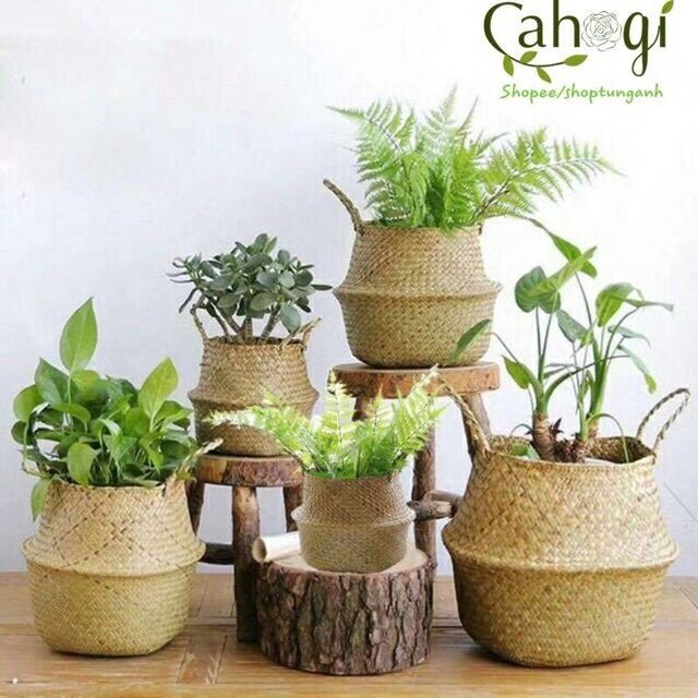 Giỏ cói trồng cây, đựng quần áo/decor tự nhiên kính phi 35cm