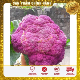 Hạt Giống Súp Lơ Mix 10 Hạt