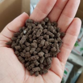 Phân Hữu Cơ Trùn Quế / Trùn Quế Viên Nén ( Túi 800g)