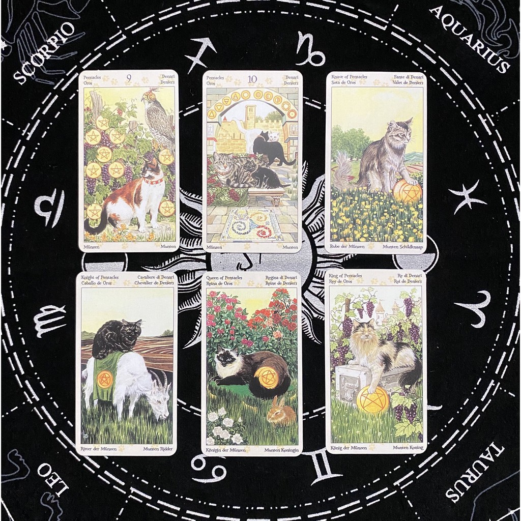 Bộ Bài Tarot Mini Hình Mèo Xinh Xắn