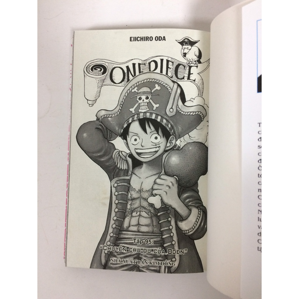 Sách - One piece - Tập 95 (Bìa rời)