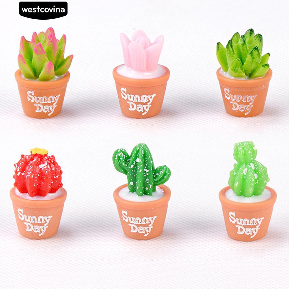 Bộ 2 mô hình cây sương rồng xinh xắn