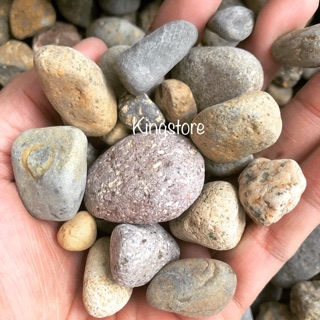Đá Cuội Mini