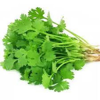 500gr HẠT GIỐNG RAU MÙI TA