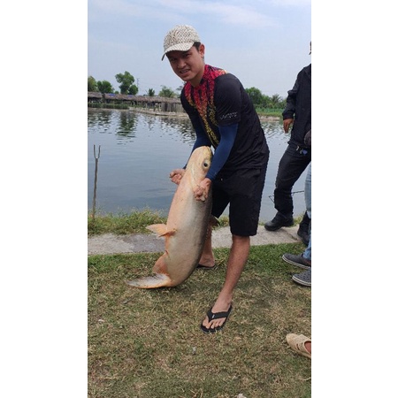 Nho câu cá lưỡi MAKO