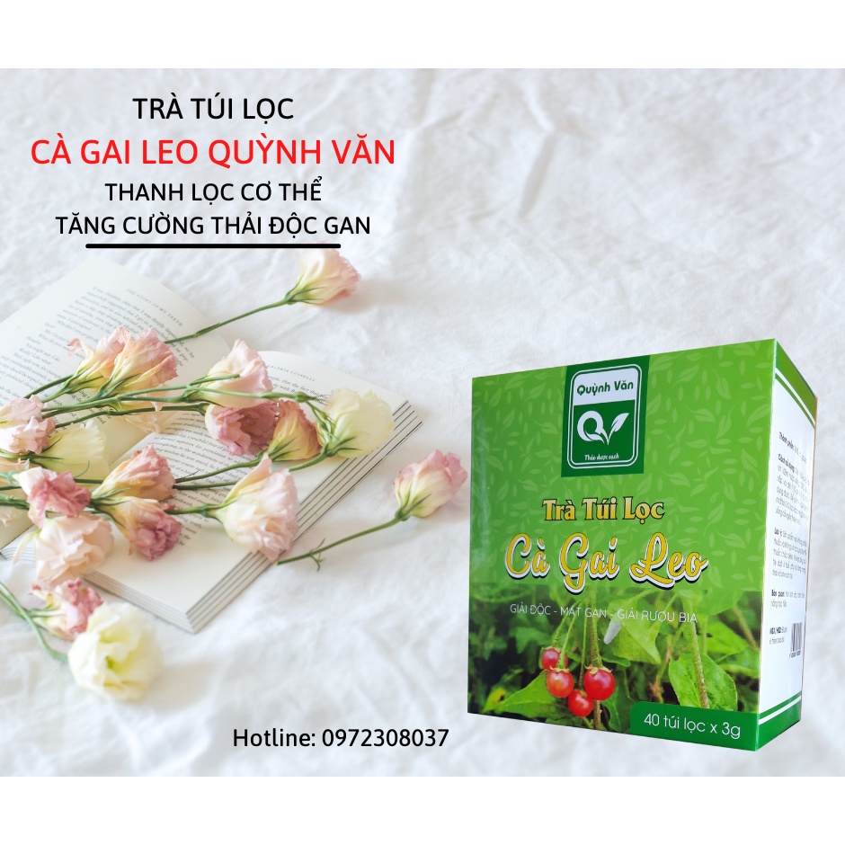 Trà cà gai leo, trà túi lọc cà gai leo Quỳnh Văn giúp giải độc - mát gan cho cả gia đình | BigBuy360 - bigbuy360.vn