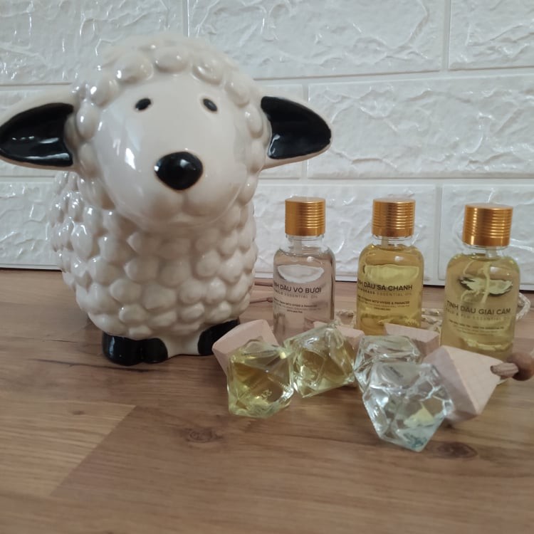 Tinh dầu bưởi Hygie dưỡng tóc, giảm rụng tóc, kích thích mọc tóc 30ml | BigBuy360 - bigbuy360.vn