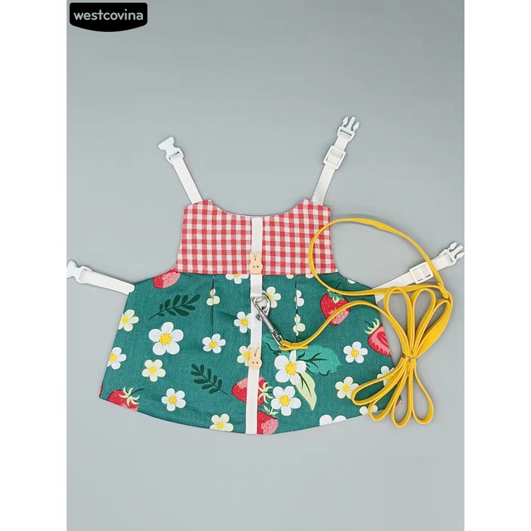 Dây dắt thỏ đi dạo màu sắc rực rỡ