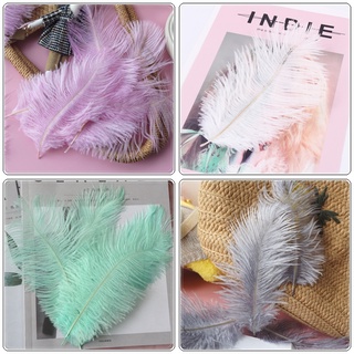 [Màu Pastel/Nhiều Loại] LÔNG VŨ nhiều size mềm mại, trang trí chụp ảnh