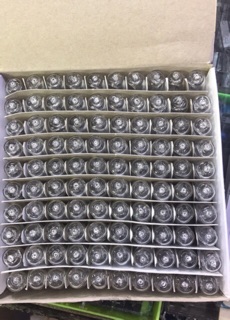 Bóng halogen 12v 50w (5 bóng ) và 12v 100w