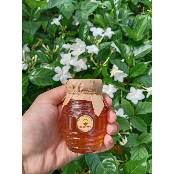 100ml -Mật ong tự nhiên nguyên chất hoa cà phê HOGI Farm - Cam kết chất lượng , không kết tinh đóng đường