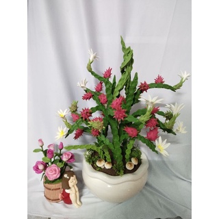 Chậu thanh long đất sét lớn cao 42cm!