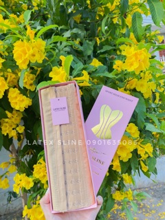 Gen nịt bụng Latex Sline nhập khẩu