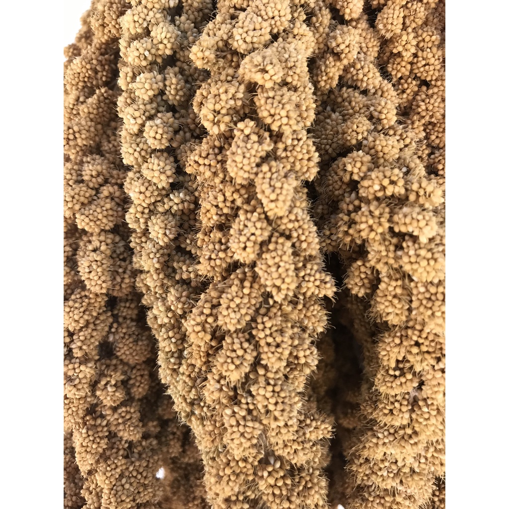 Kê chùm nguyên bông nhà trồng dùng tắm cho bé ngứa rôm sảy - gói 100gr