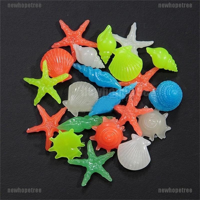 Bộ 10 Vỏ ốc trang trí phát sáng trong đêm cho bể cá