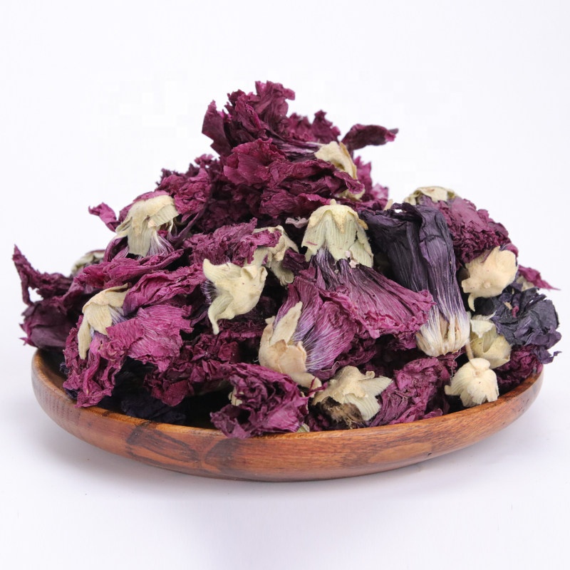(miễn phí đường viên) Violet forget me not / Hoa violet (hàng xuất khẩu) | BigBuy360 - bigbuy360.vn