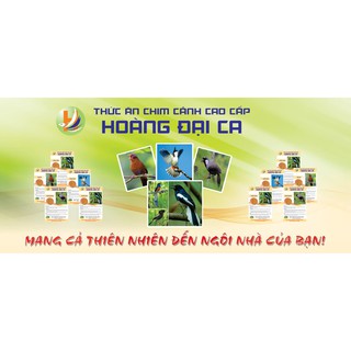 [Cám Mộc 500g] Cám Chim Chào Mào Hoàng Đại Ca
