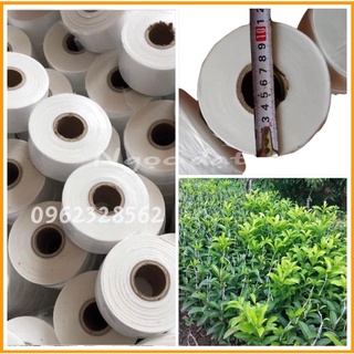 băng ghép cây 1000m khổ 3cm/giấy ghép cây tự huỷ/băng ghép tự huỷ