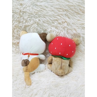 gấu bông đầu Rila