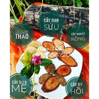 Thảo mộc lợi sữa, cây nhiều sữa, cây gọi sữa, cây tiết sữa