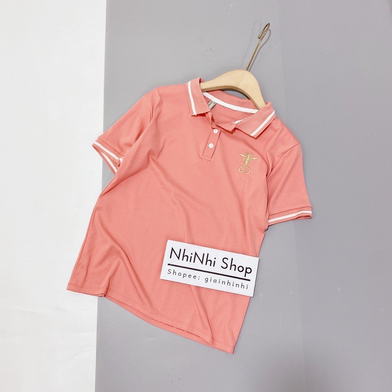Xả hàng - Áo thun cổ bẻ nữ thêu nhện dáng vừa ngắn tay AT1033 - NhiNhi Shop