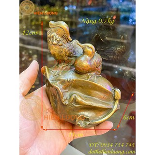 Đôi chim uyên ương bằng đồng màu nâu giả cổ