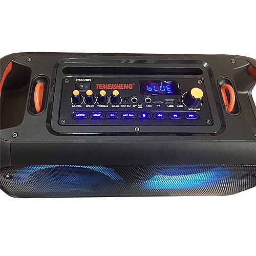 Loa Karaoke di động Temeisheng TMS-6616