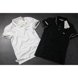 Áo PoLo Cá Sấu 100% Cotton Dầy Cao Cấp - Hàng Nhà Máy