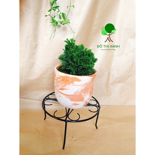 Đế lót tròn, đế lót để chậu cây, Chân đế tròn lót chậu, chịu lực tốt, bằng sắt sơn tĩnh điện