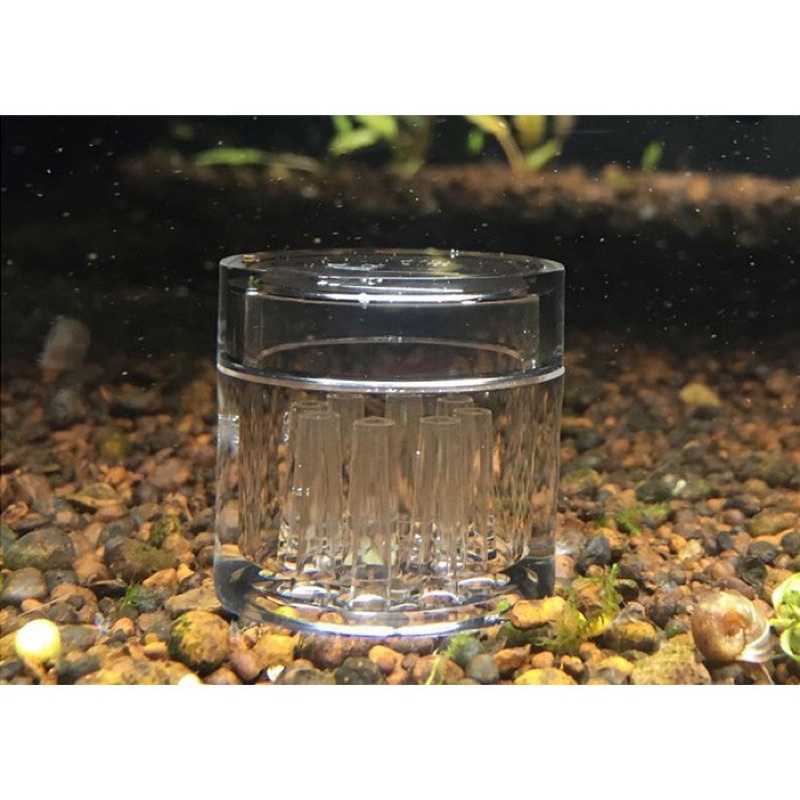 BẪY SÁN SIÊU TRONG  8 LỖ , CHẤT LIỆU ACRYLIC BẪY SÁN MINI HIỆU QUẢ  GIÁ  RẺ
