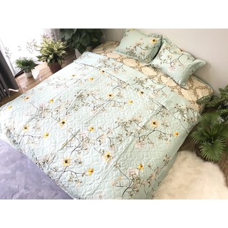 Bộ Chăn Ga Gối Phủ Trần Bông Mẫu hoa dây xanh