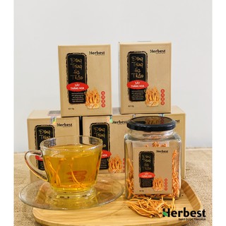 Đông Trùng Hạ Thảo Herbest cao cấp tăng cường sức đề kháng hộp 10 gram