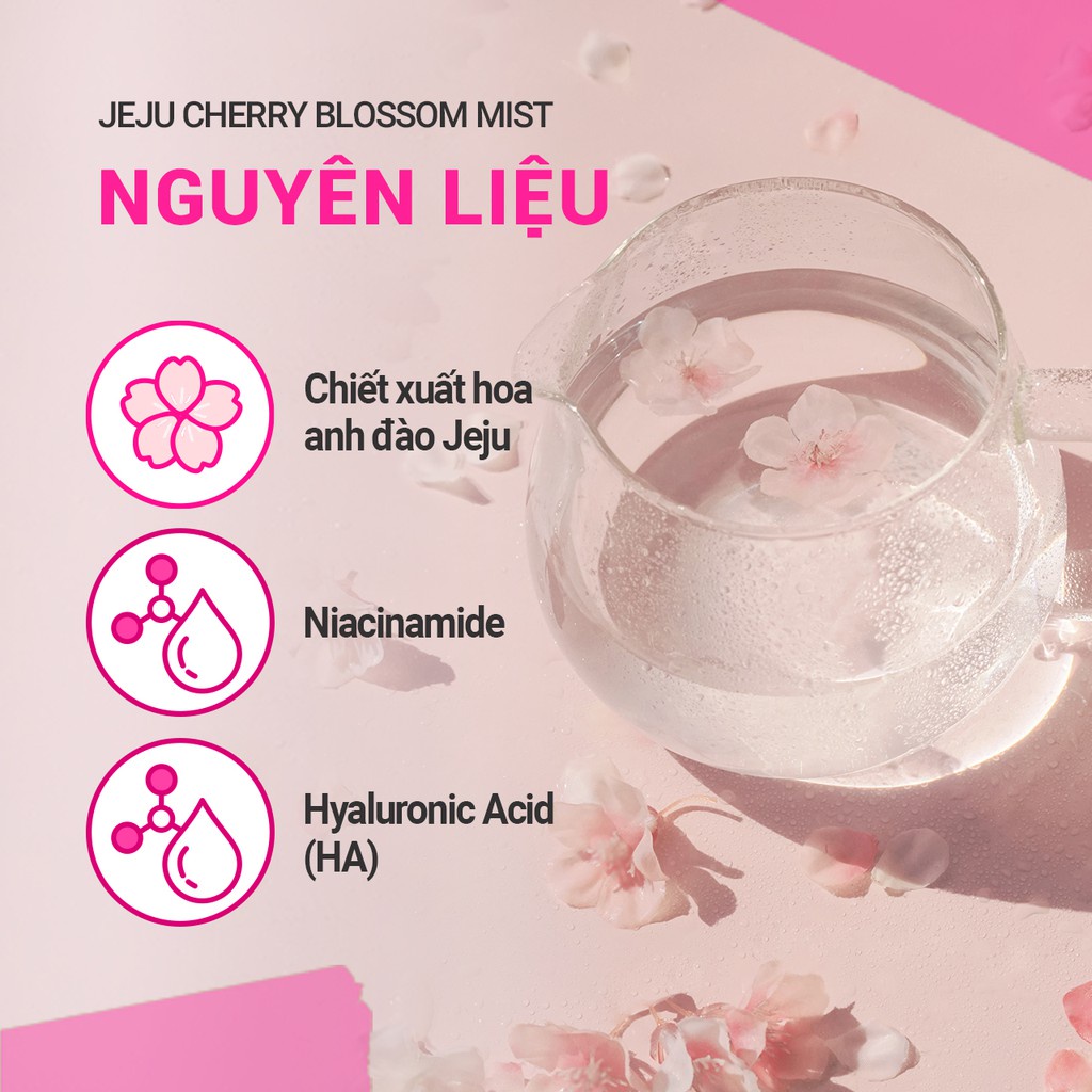 [Mã COSIF05 giảm 10% đơn 400K] Xịt khoáng dưỡng sáng innisfree Jeju Cherry Blossom Mist 120 ml