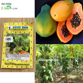 Hạt Giống Đu Đủ F1 Hồng Phi ( V0786 ) -1gr