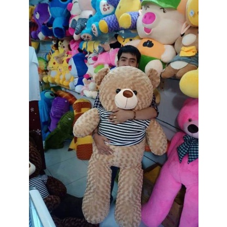 🔴 Gấu bông teddy khổ vải 1m4 cao 1m2