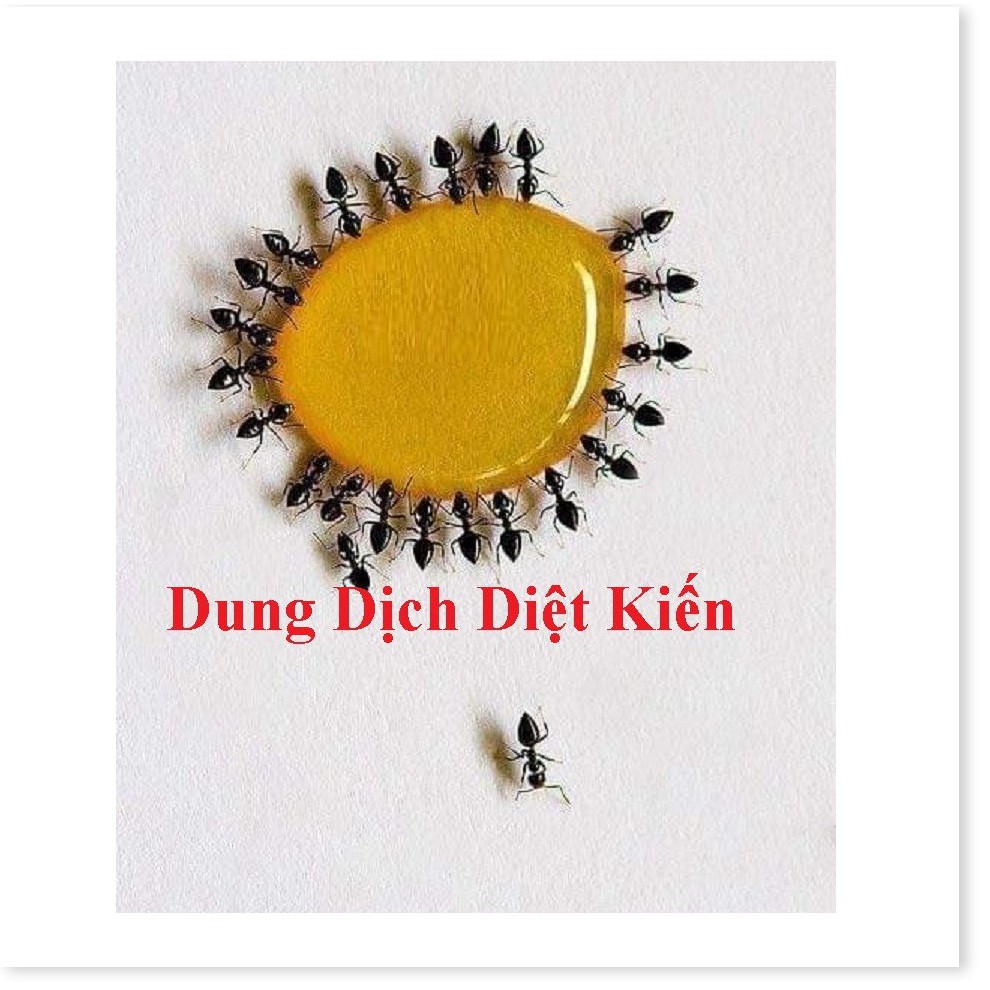 (Lọ 10ml ) Dung dịch Diệt kiến Hanpet dạng dung dịch diệt kiến gián tận gốc An toàn cho sức khỏe trẻ em