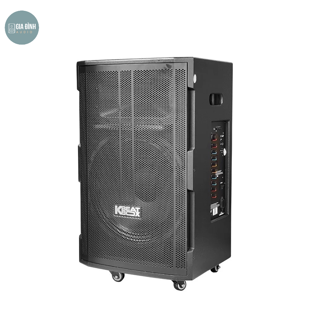 Loa kéo Acnos CB391G, Hỗ trợ cổng Optical - Chính hãng