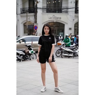 Bộ Das đùi một màu