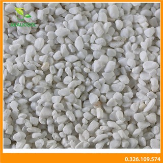 500g Sỏi Trắng trang trí chậu cây, vườn hoa, bể cá cảnh -  Kích Thước 1-1,5 cm