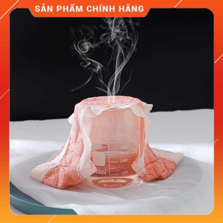 Quần Lót Ren Màu Dễ Thương Mềm Mịn Mẫu Mới Hot 258